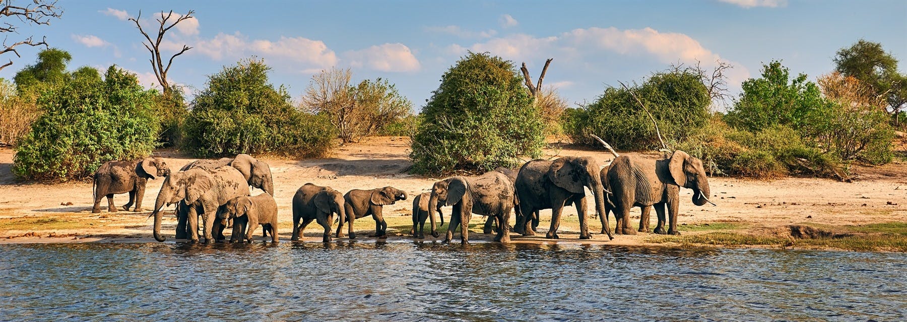 Grand Botswana Fly In image 1