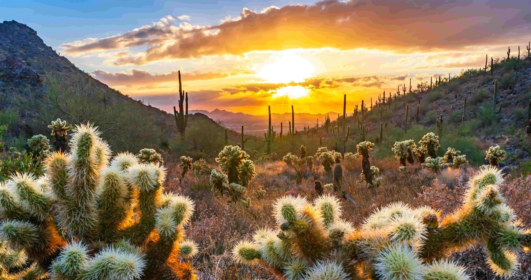 Four Seasons Resort Scottsdale at Troon North