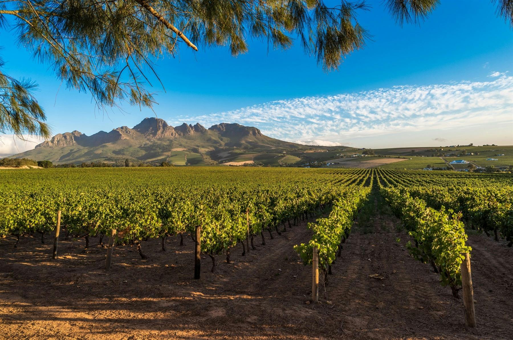 Mont Rochelle, Franschhoek