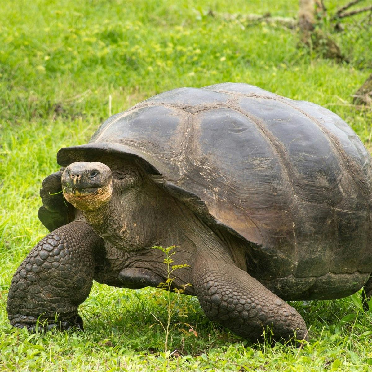 La Galapaguera and Cerro Brujo (San Cristobal Island)