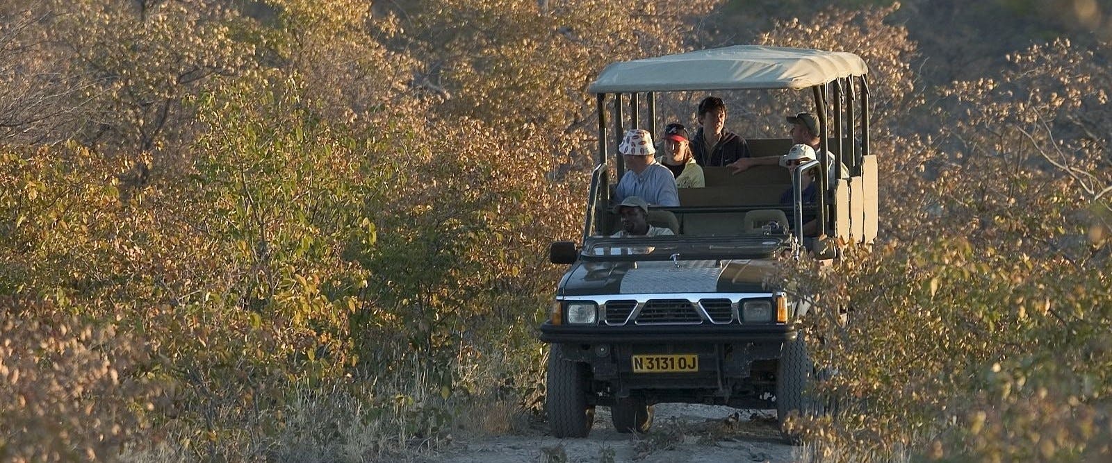 Game drive at Little Ongava Lodge