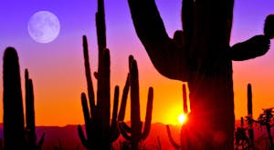 Discover Arizona's Canyon, Deserts & Ranches
