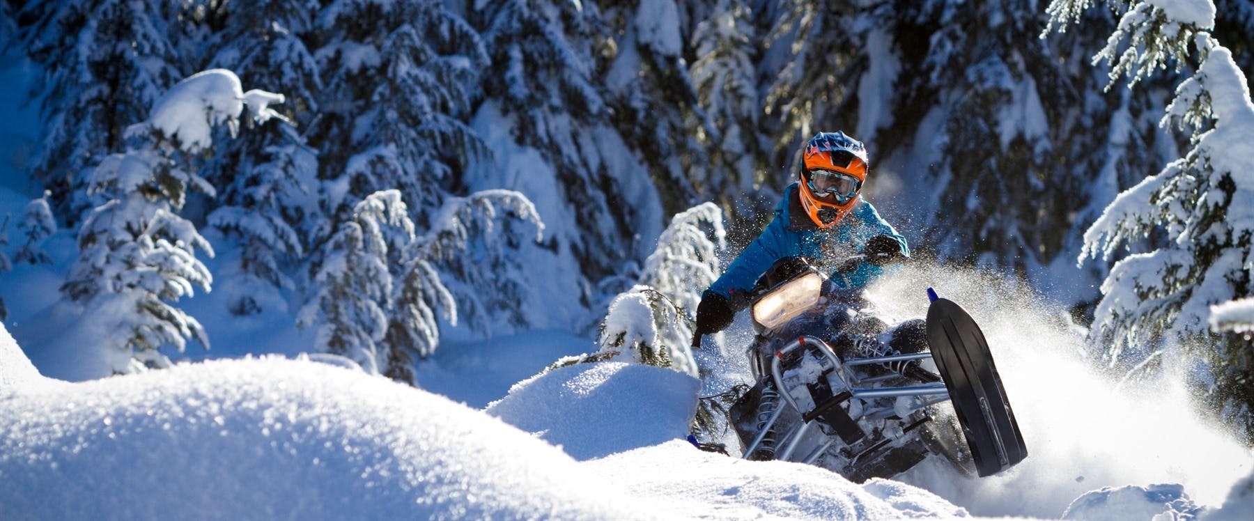 Whistler Winter Wonderland image 1