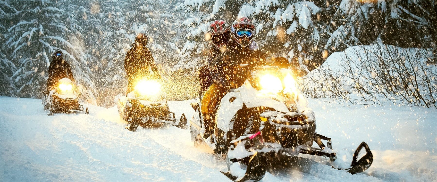Snowmobile Tour