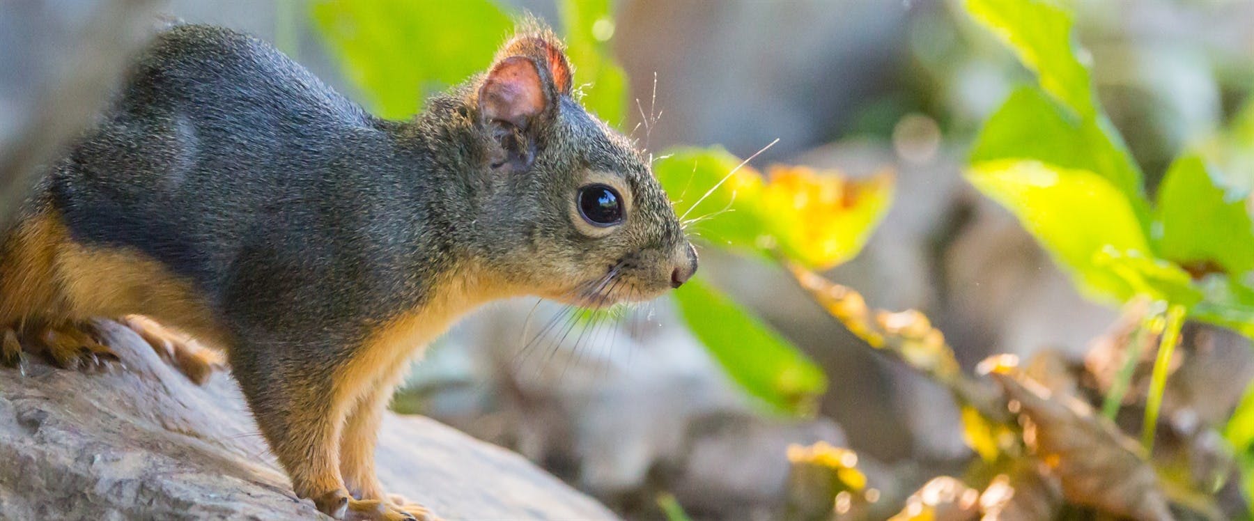 Harrison Hot Springs