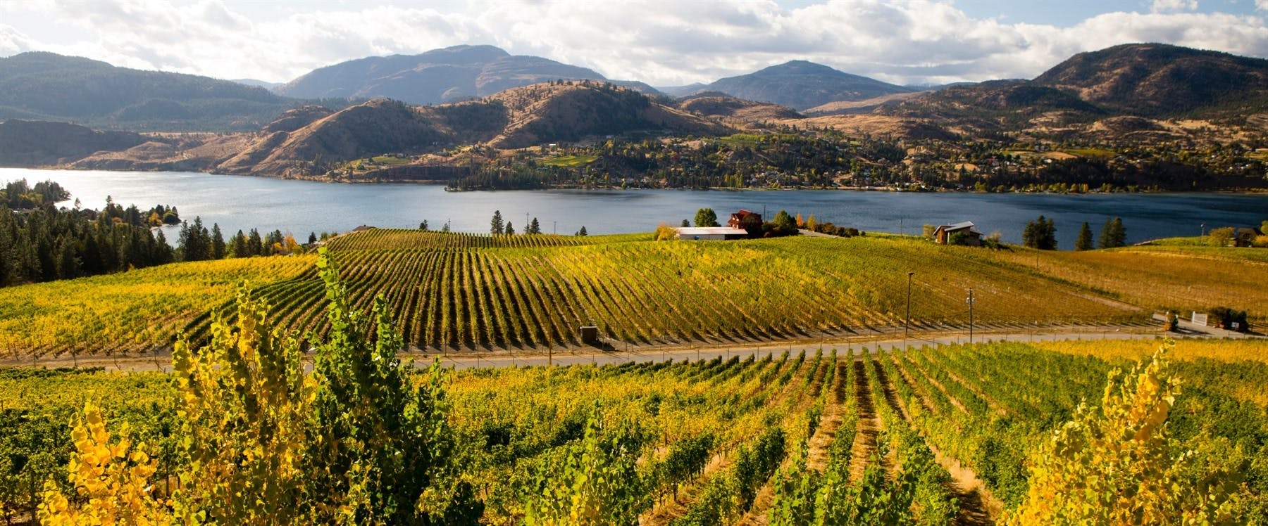 Osoyoos to Kelowna (77 miles)