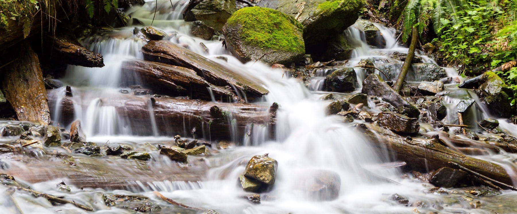 Harrison Hot Springs to Vancouver (82 miles)