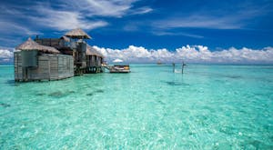 Enjoy a winter holiday in the Maldives at this traditional Robinson Crusoe style resort<place>Gili Lankanfushi</place><fomo>85</fomo>
