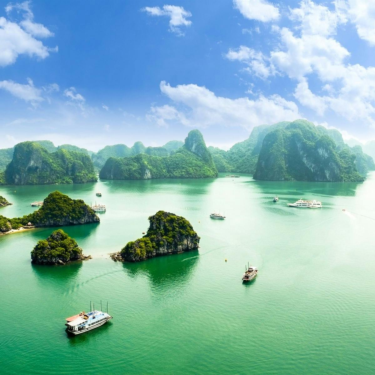 Board a Halong Bay Junk