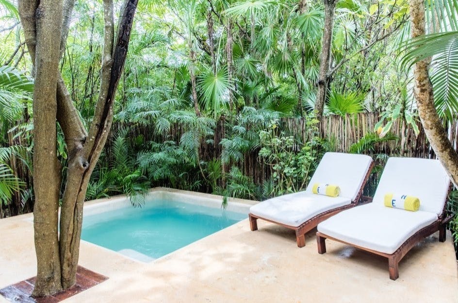 Jungle Suite with Plunge Pool