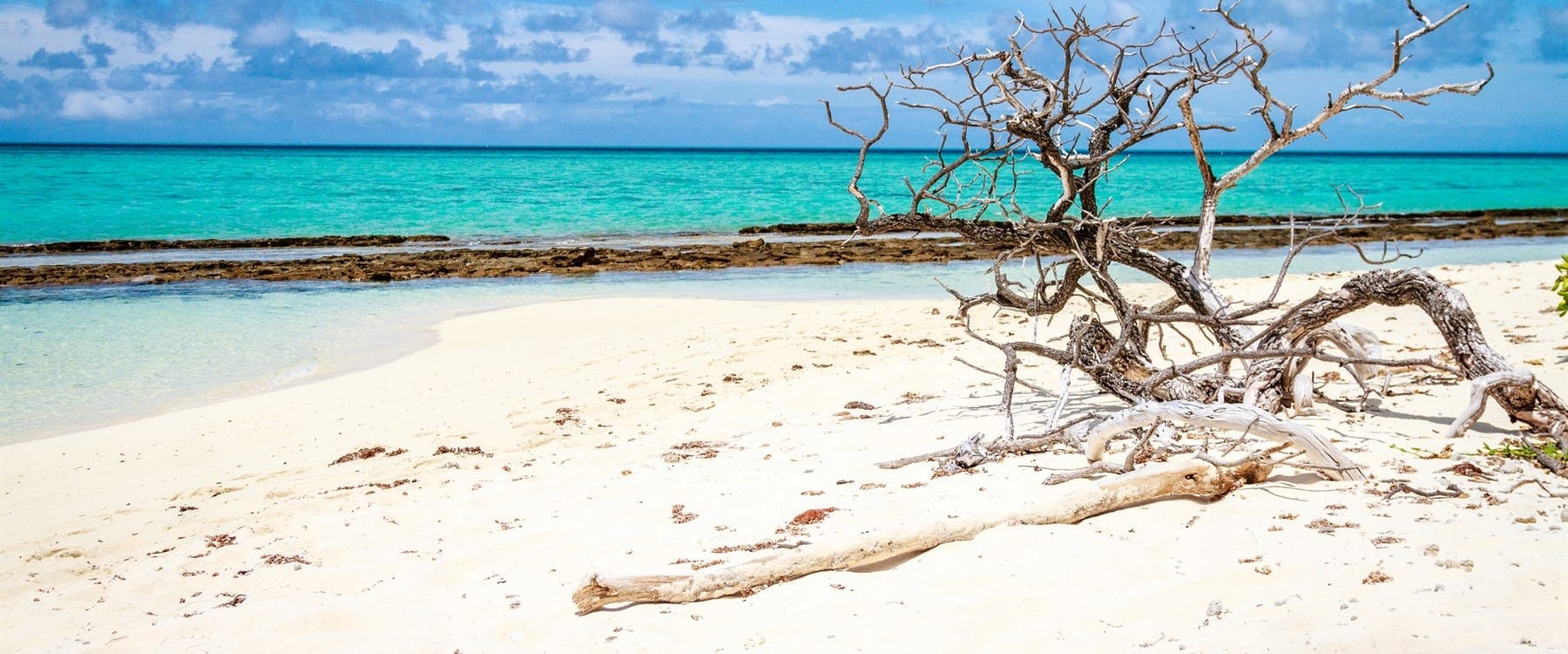Gladstone to Heron Island