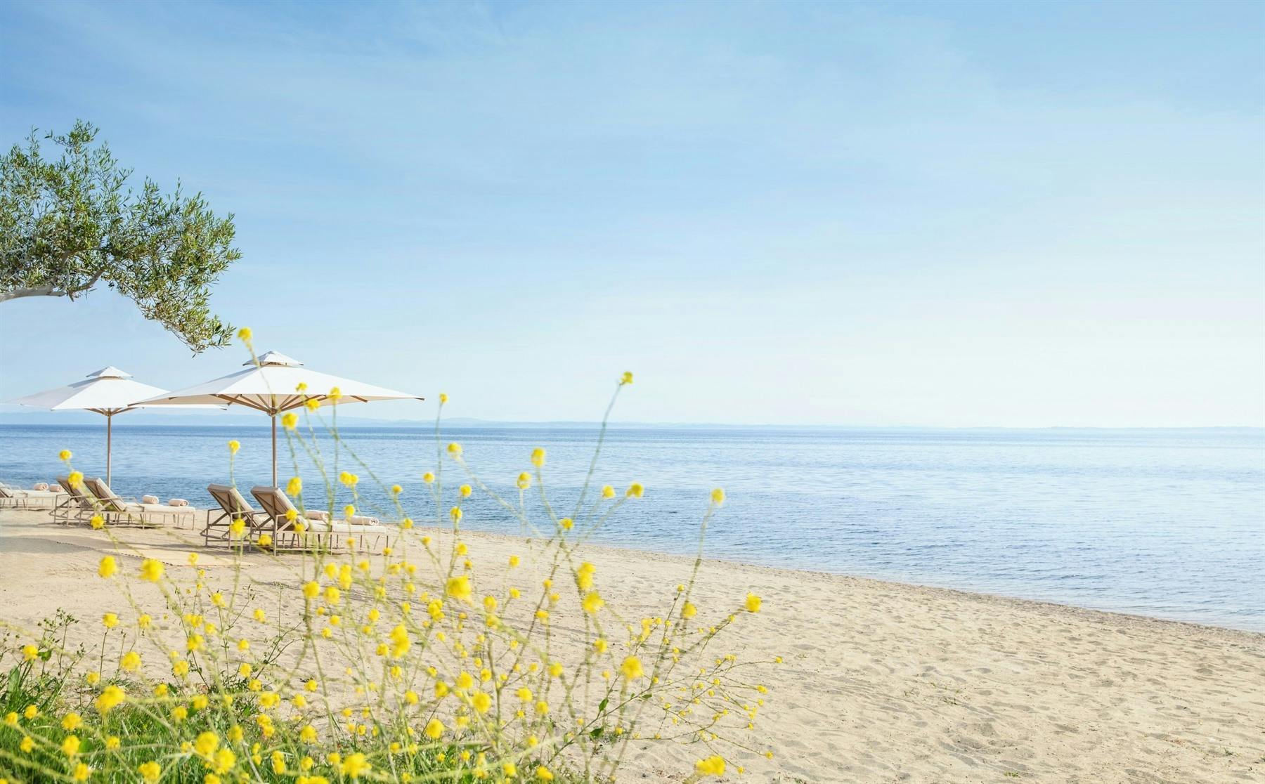 Beach, Ikos Olivia, Halkidiki, Greece