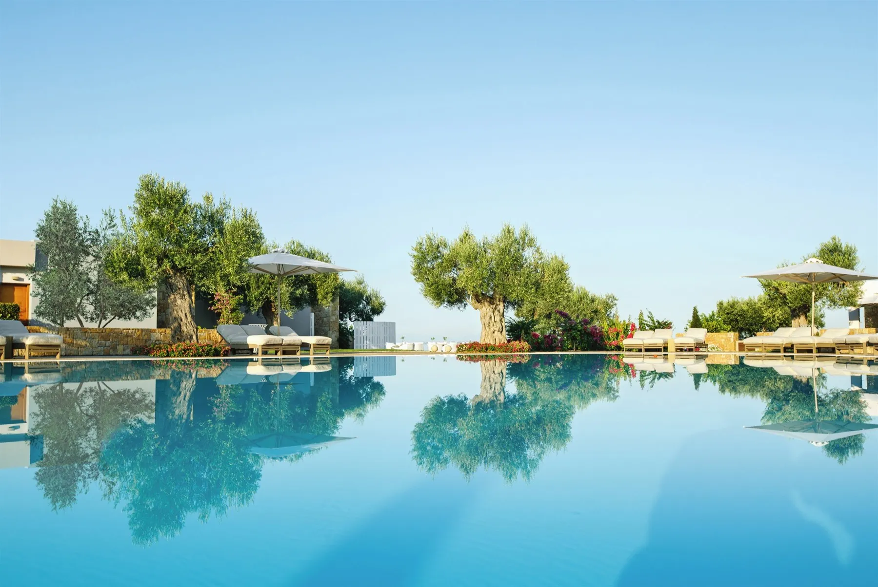 Mediterranean excellence
