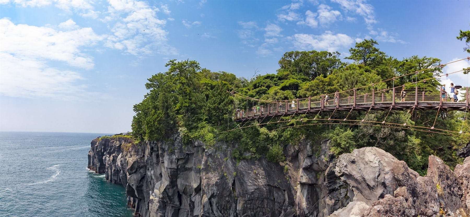 Tokyo – Izu Peninsula