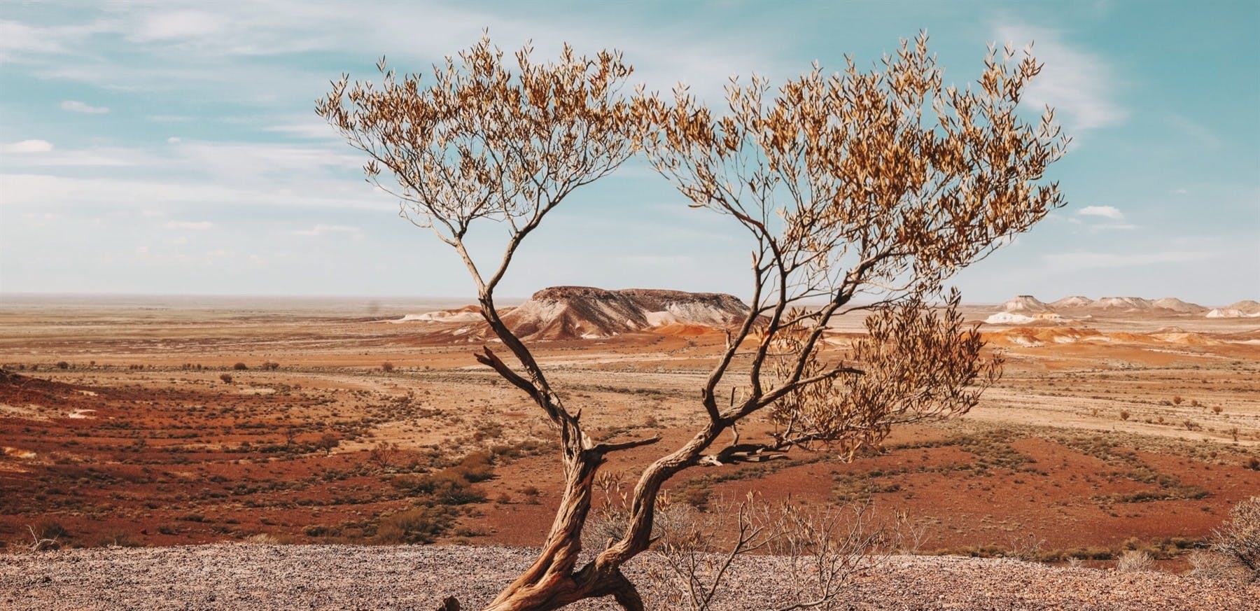 The Ghan Expedition to Adelaide