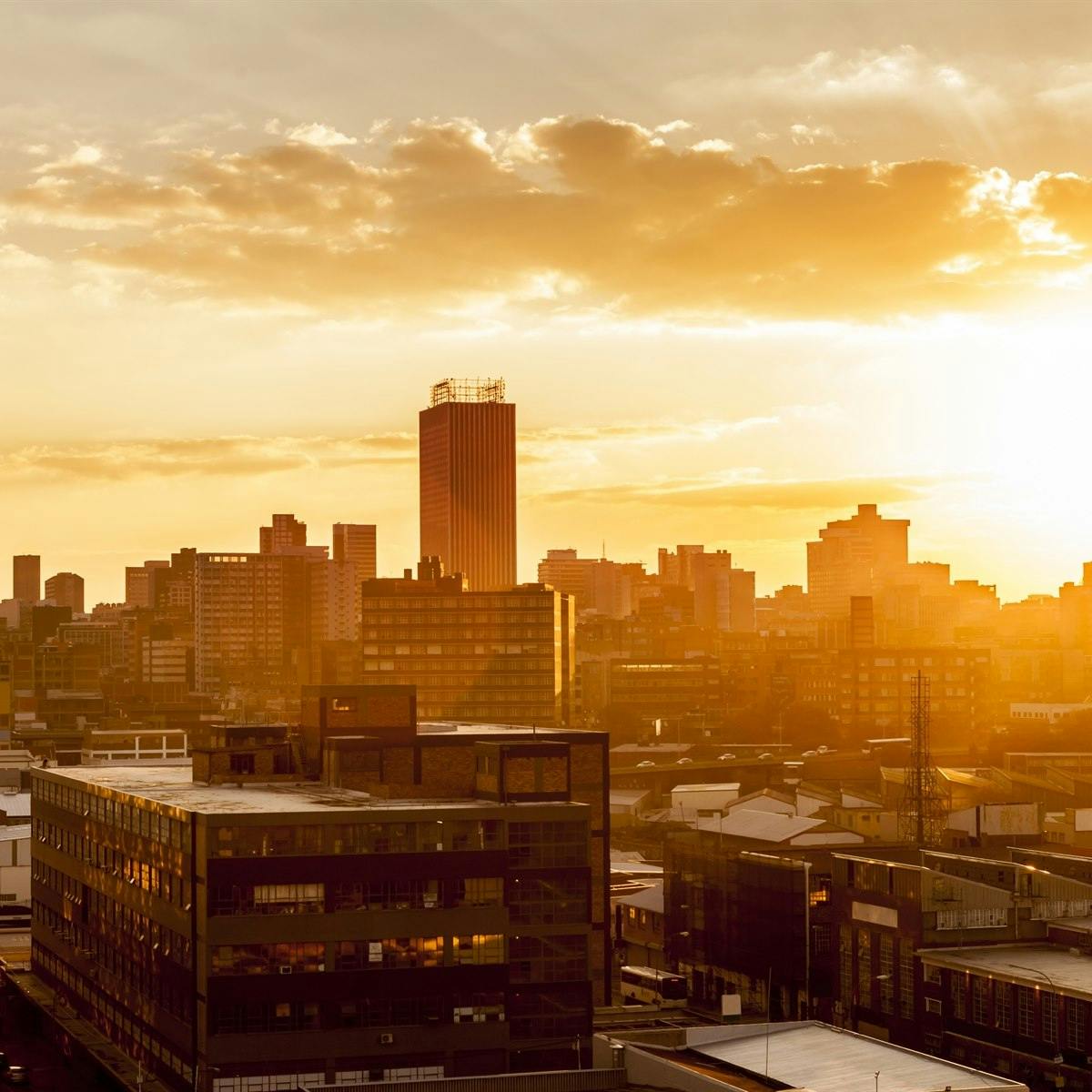 Chobe – Johannesburg - London