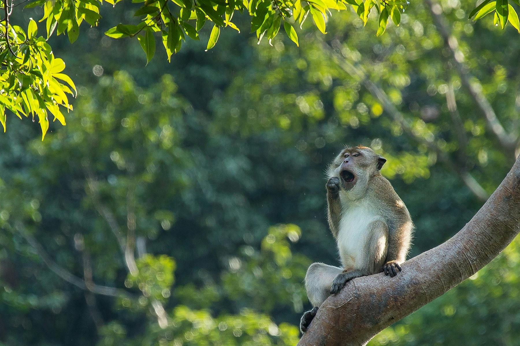 The Sarojin Khao Lak
