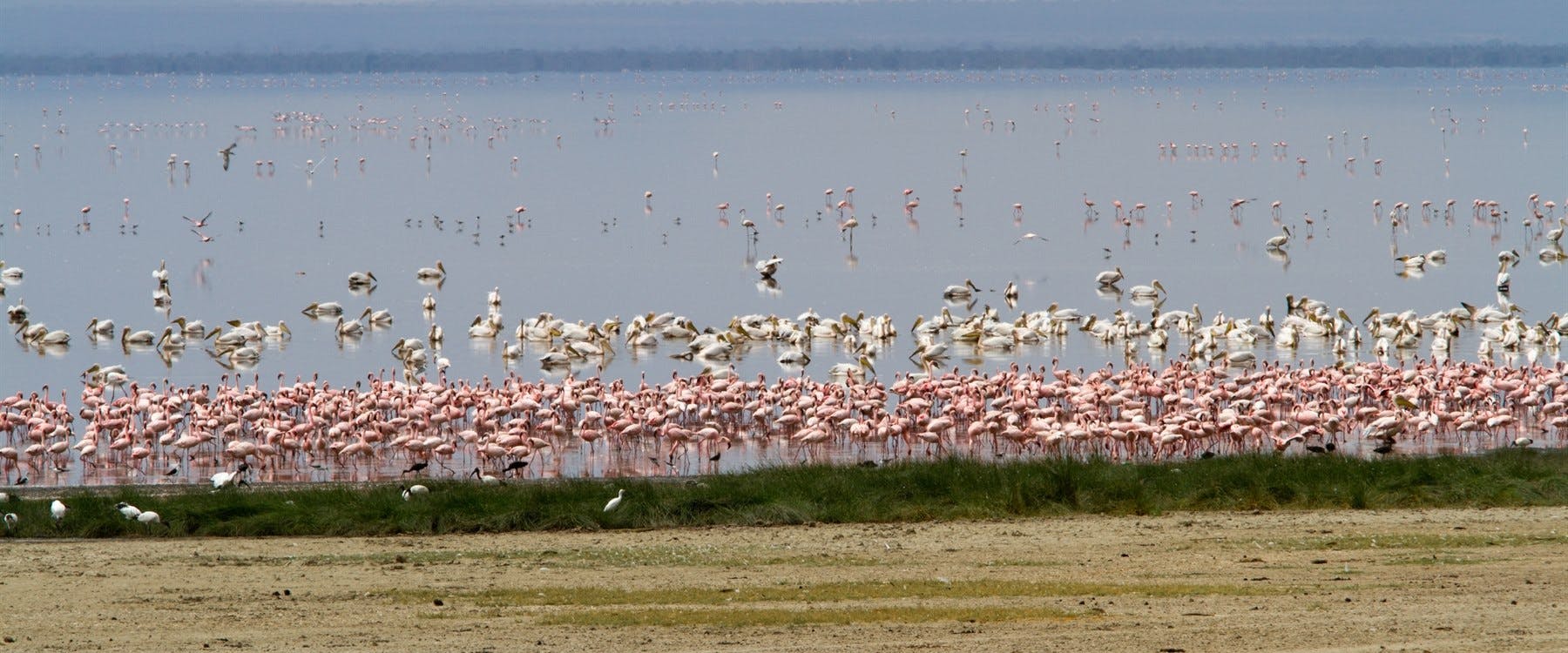 Lake Manyara