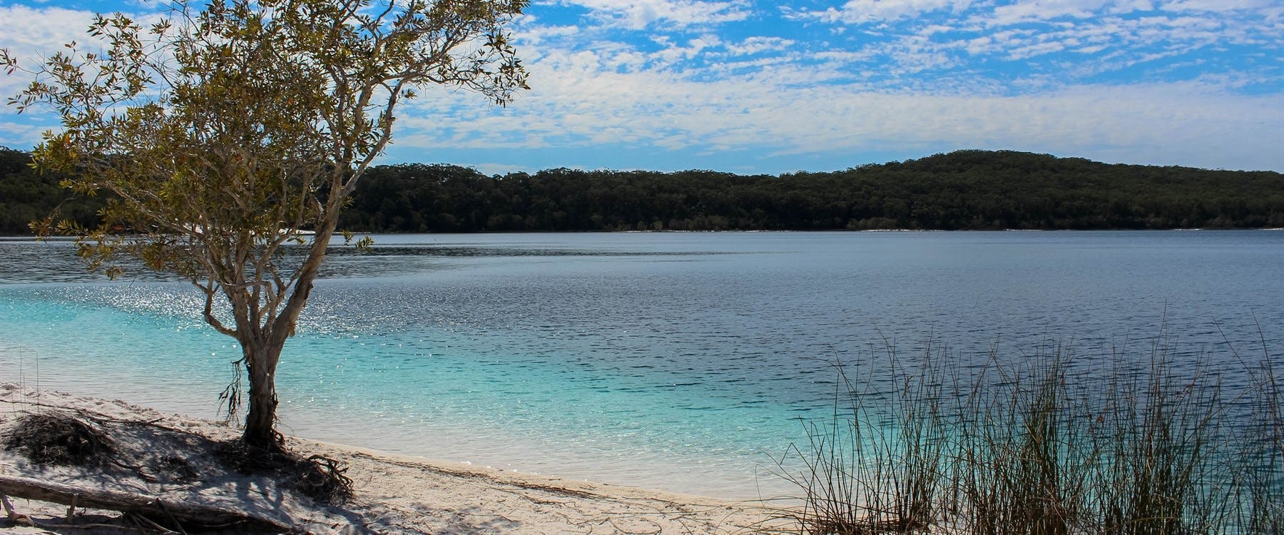 Fraser Island