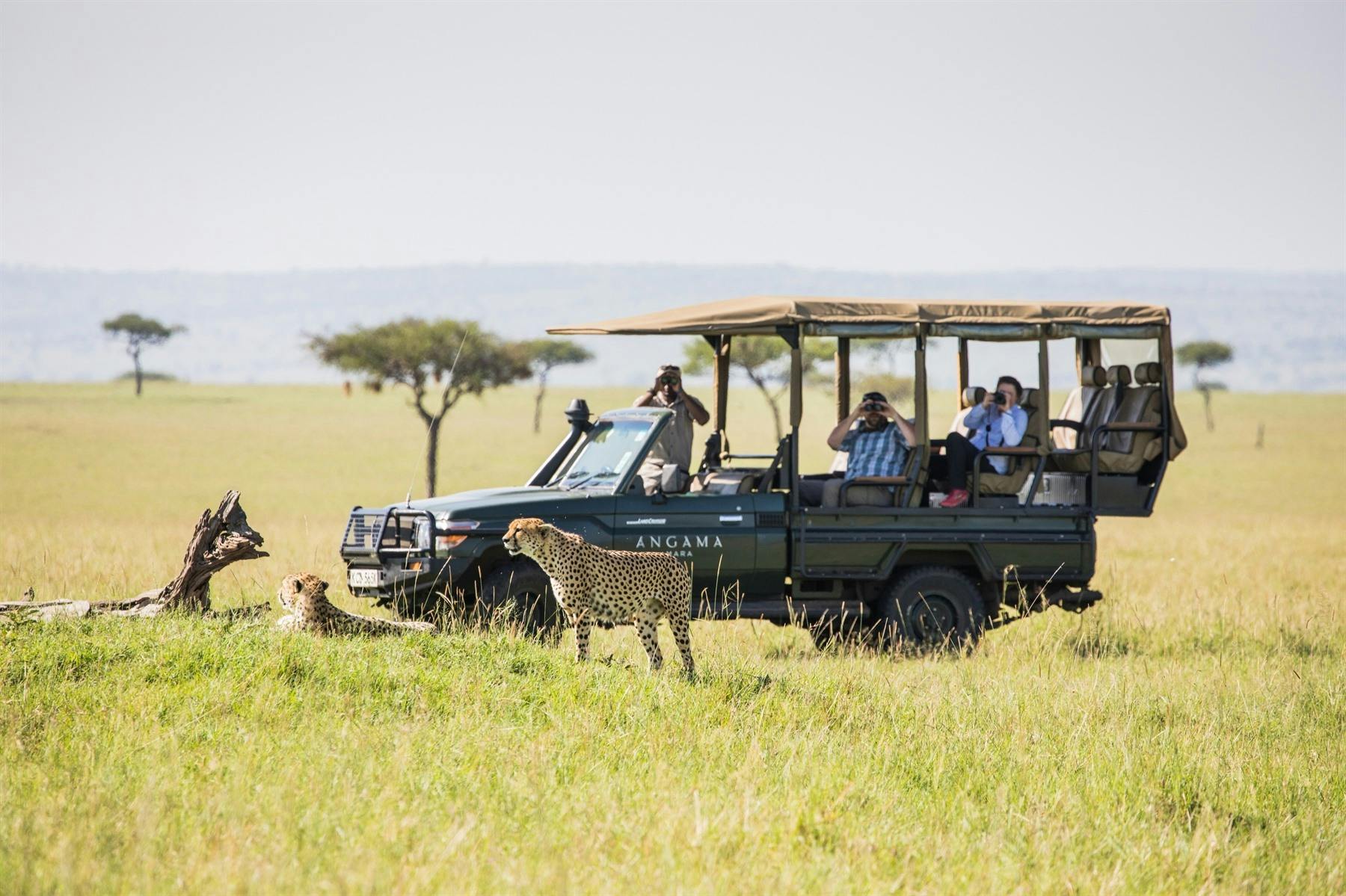 | Overnight at Angama Mara