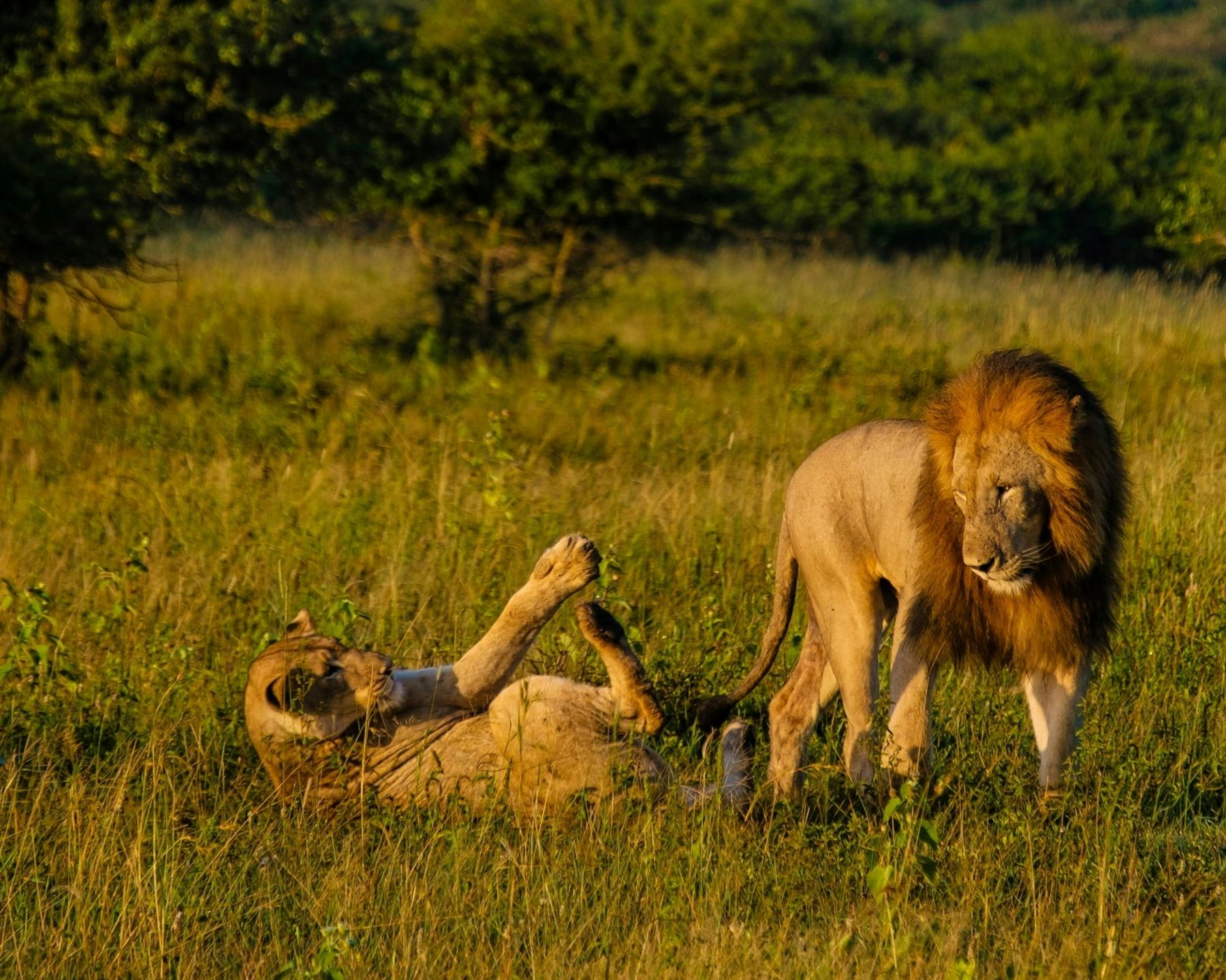 Manyoni Private Game Reserve, Rhino Sands