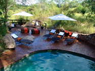 Little Bush Camp Pool and Deck from Above