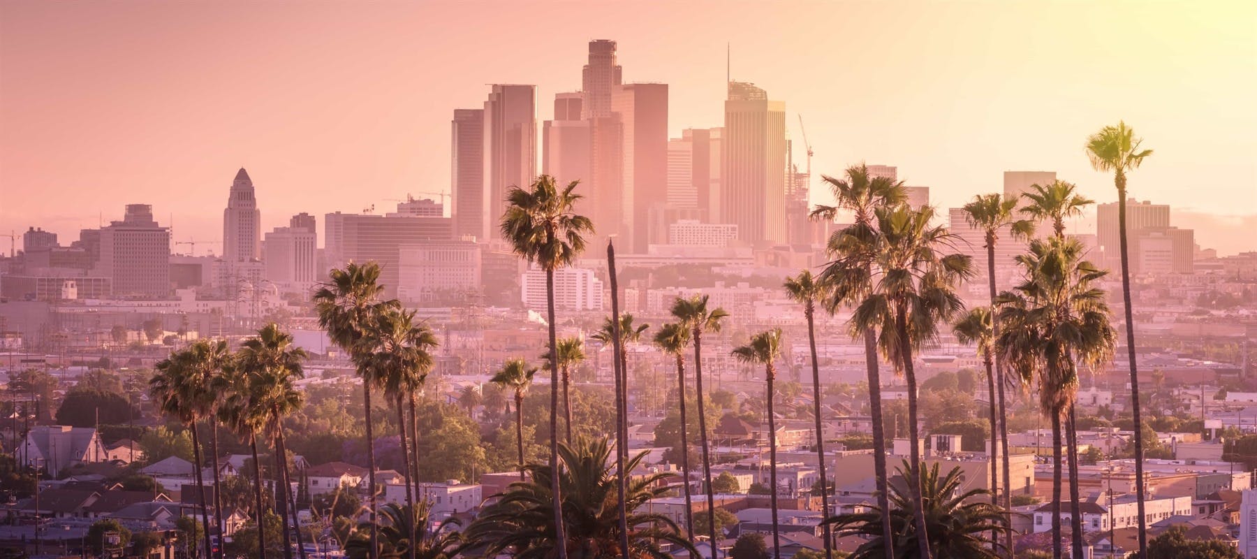 | 25 November, 2025 | Fly from UK to Los Angeles