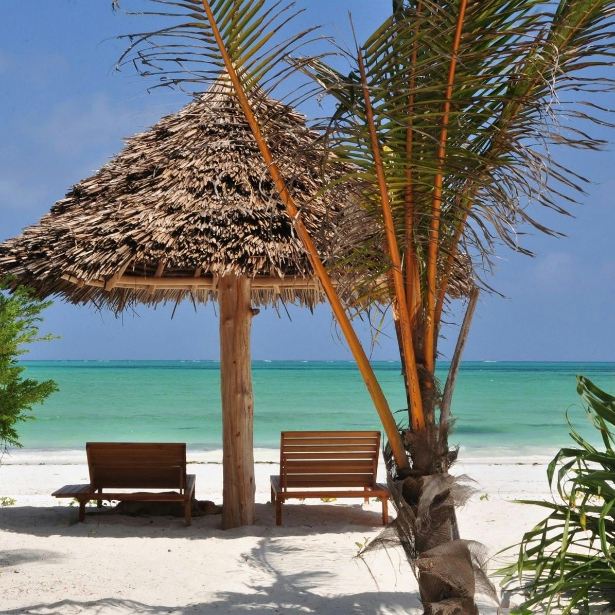 Selous Game Reserve – Zanzibar