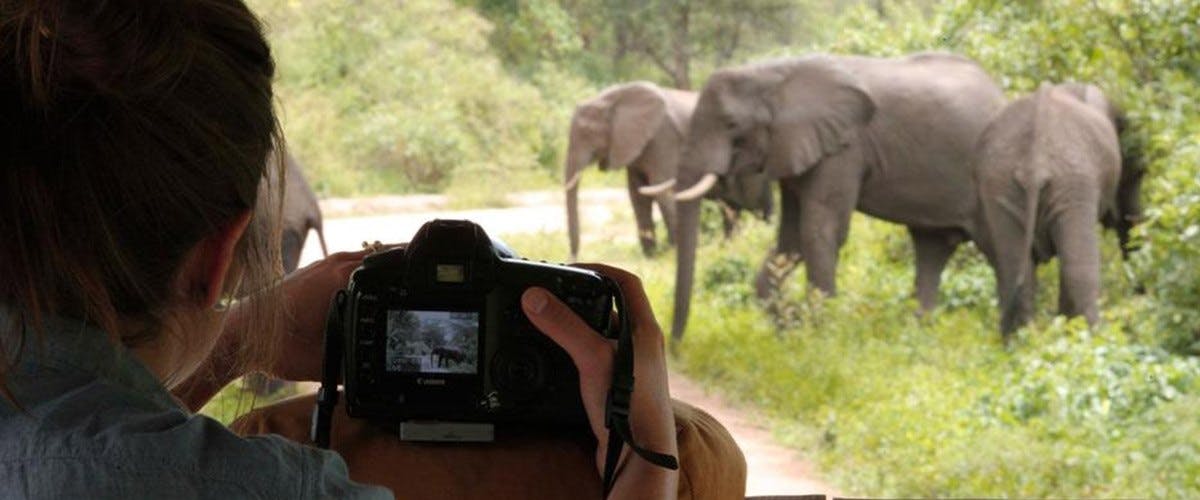 Serengeti National Park – Lake Manyara National Park