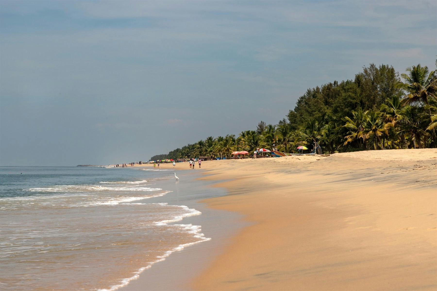 | Kumarakom to Mararikulam 
