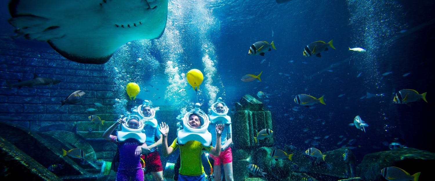 Middle East Family Holidays image 1