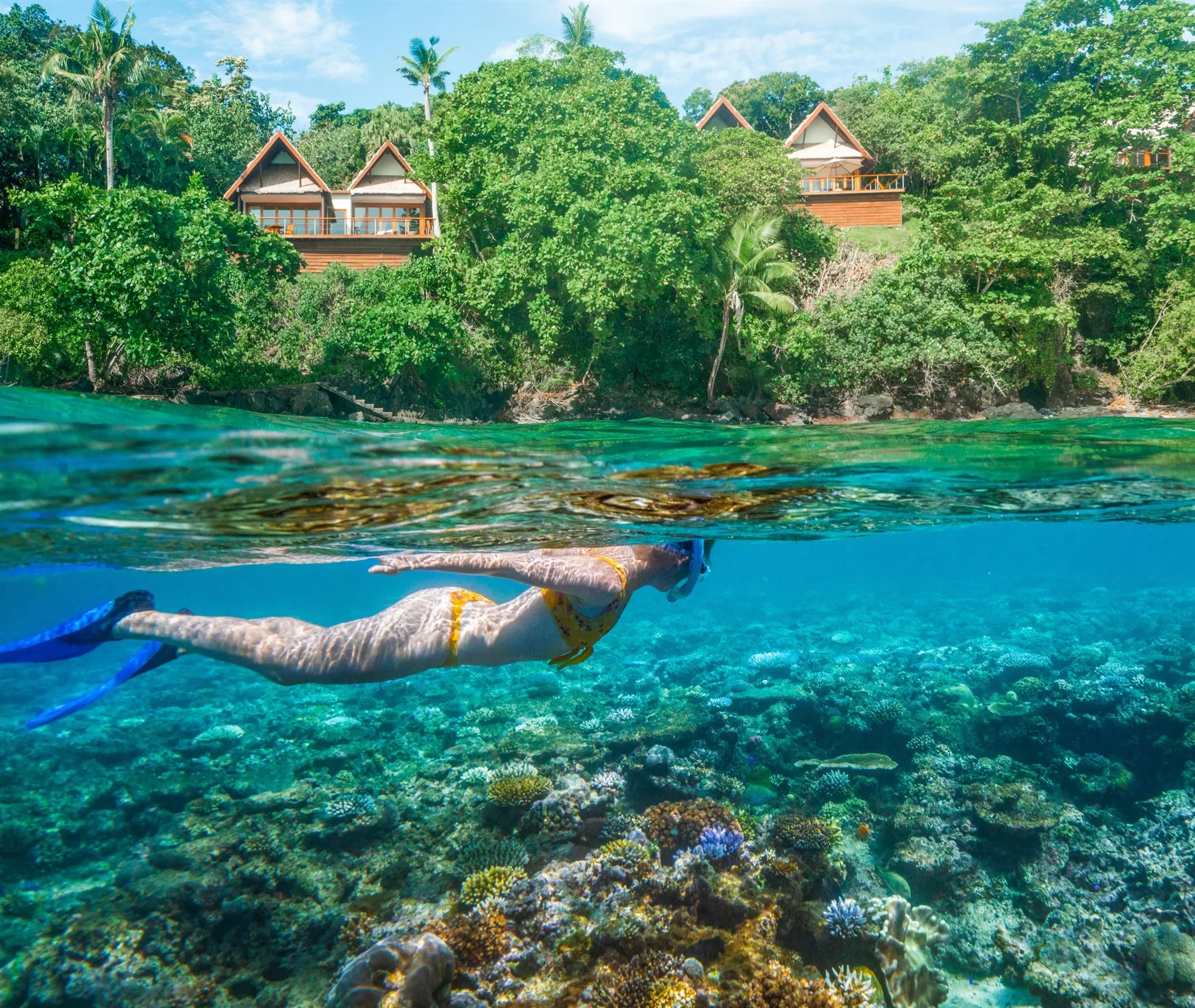 Marine Sanctuary Snorkelling