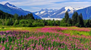 Discover Canadian Rockies Tour and Alaska Cruise