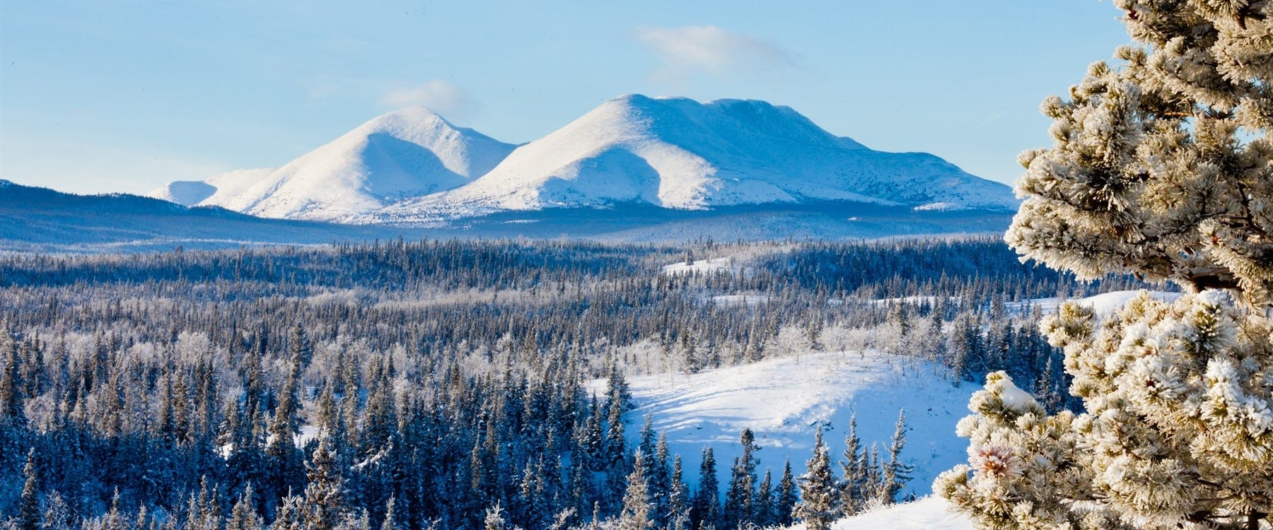 Whitehorse Sightseeing Tour 