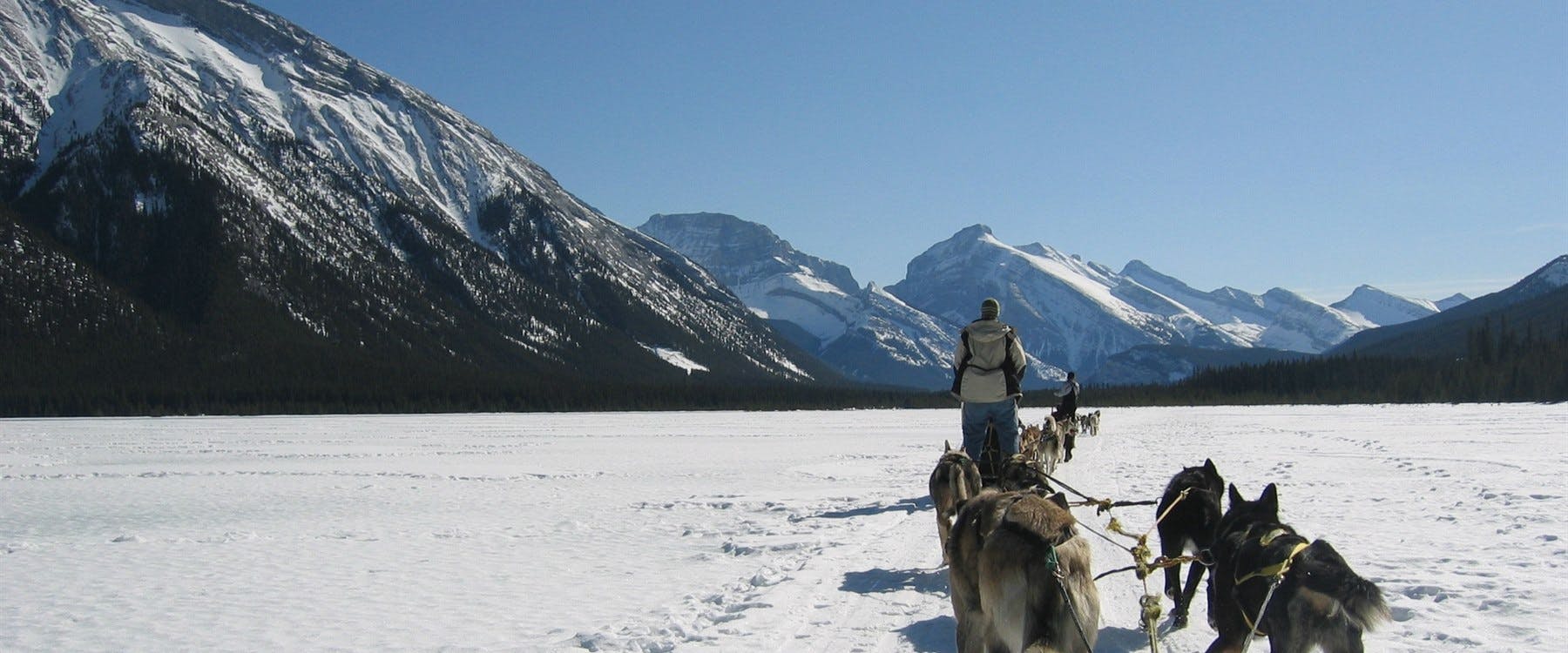 Snowmobiling Or Dog Sledding Tour Plus Northern Lights