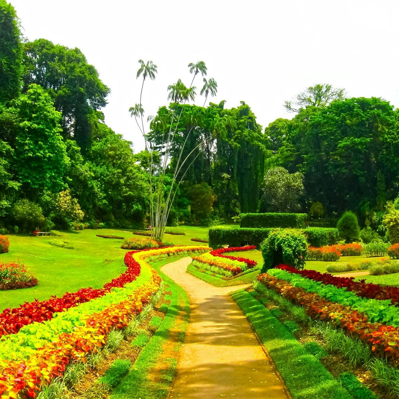 Millennium Elephant Foundation and Peradeniya Botanical Gardens