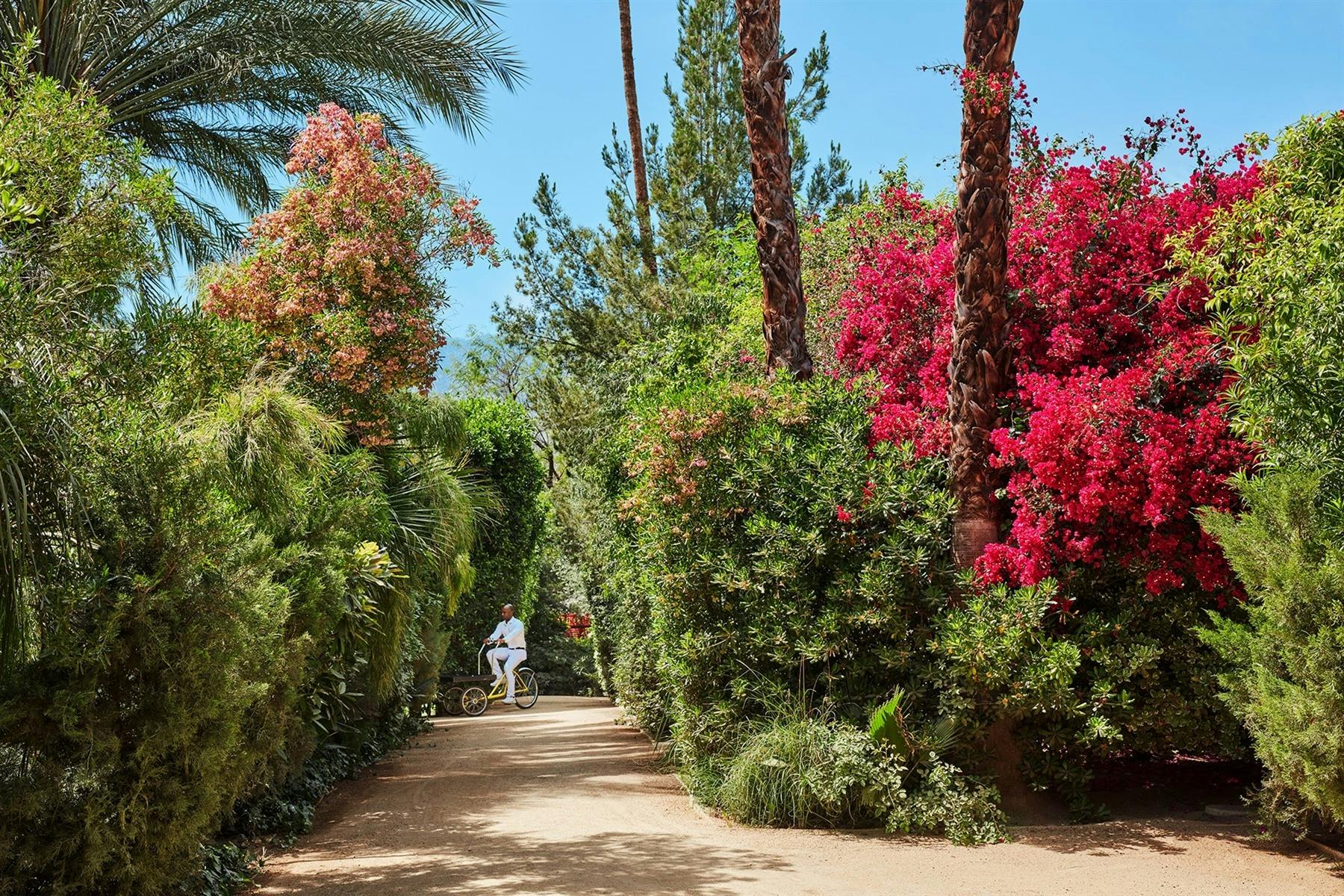 parker palm springs california 