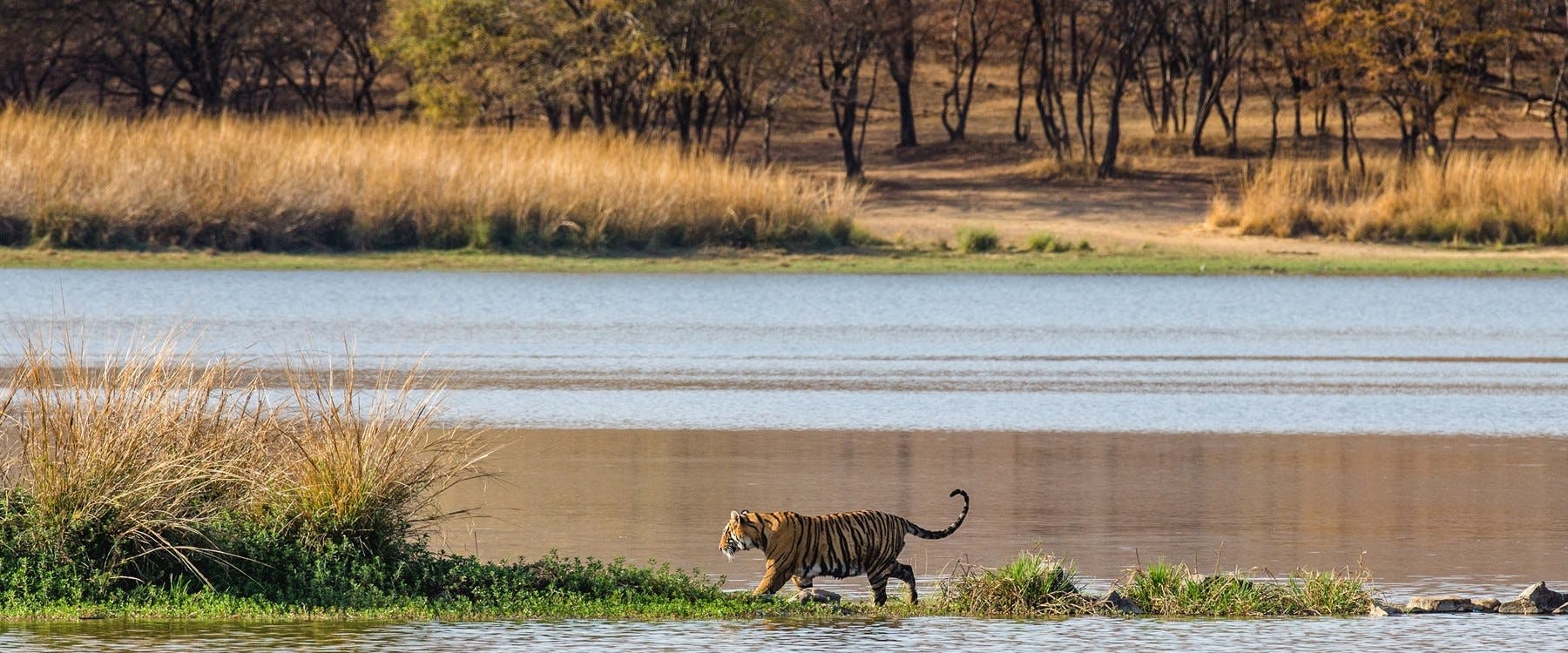 Ranthambore National Park