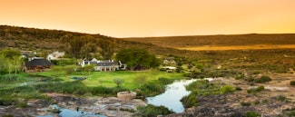 Experience the best of South Africa with vibrant city, awe-inspiring wilderness and relaxing beach