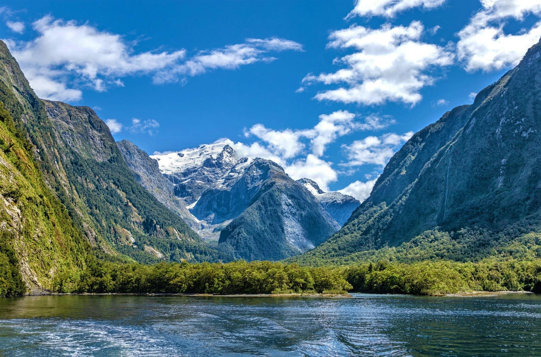 Milford Sound Cruise