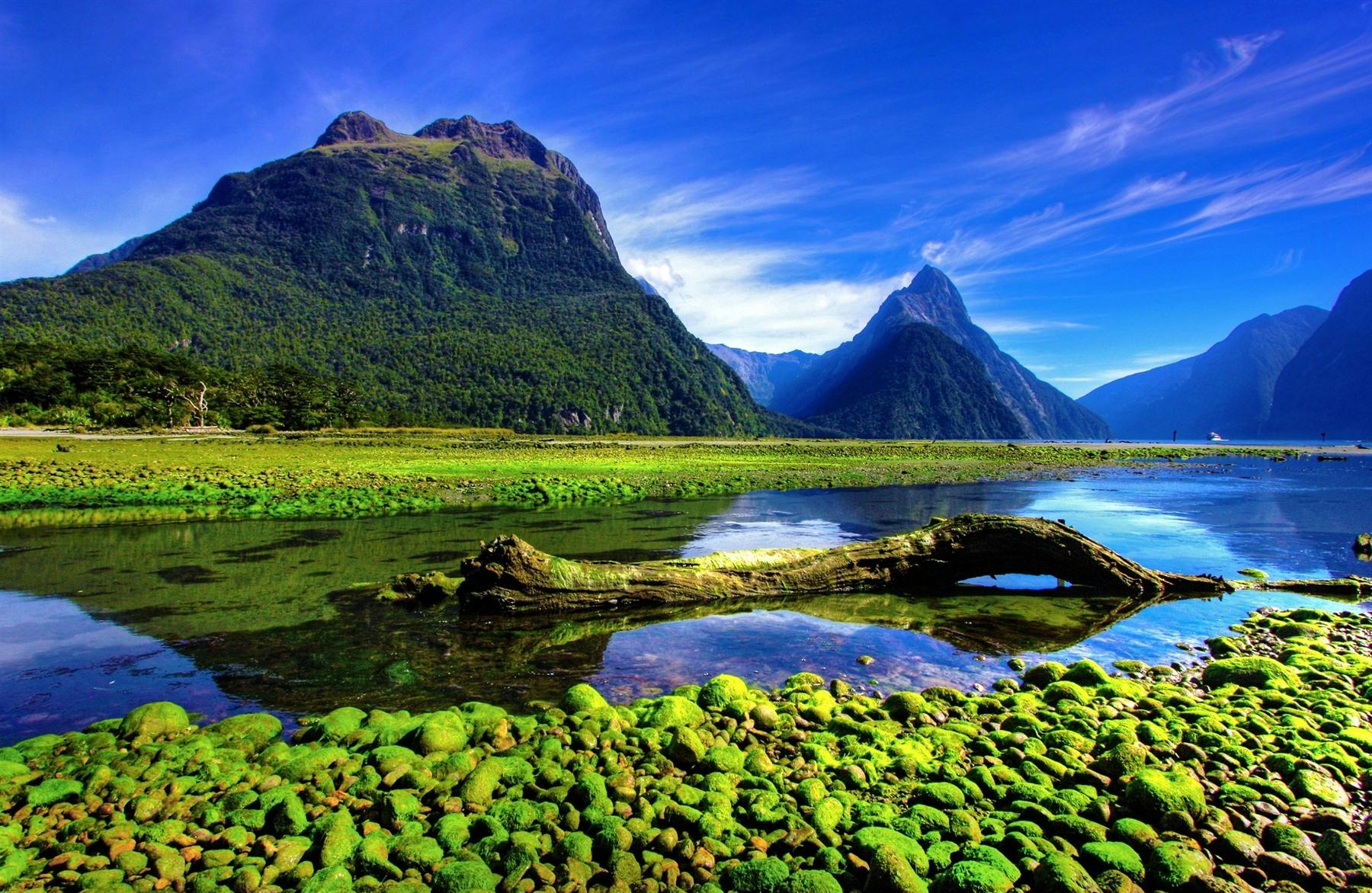 Travel to Milford Sound