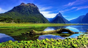 Escorted Tour of New Zealand