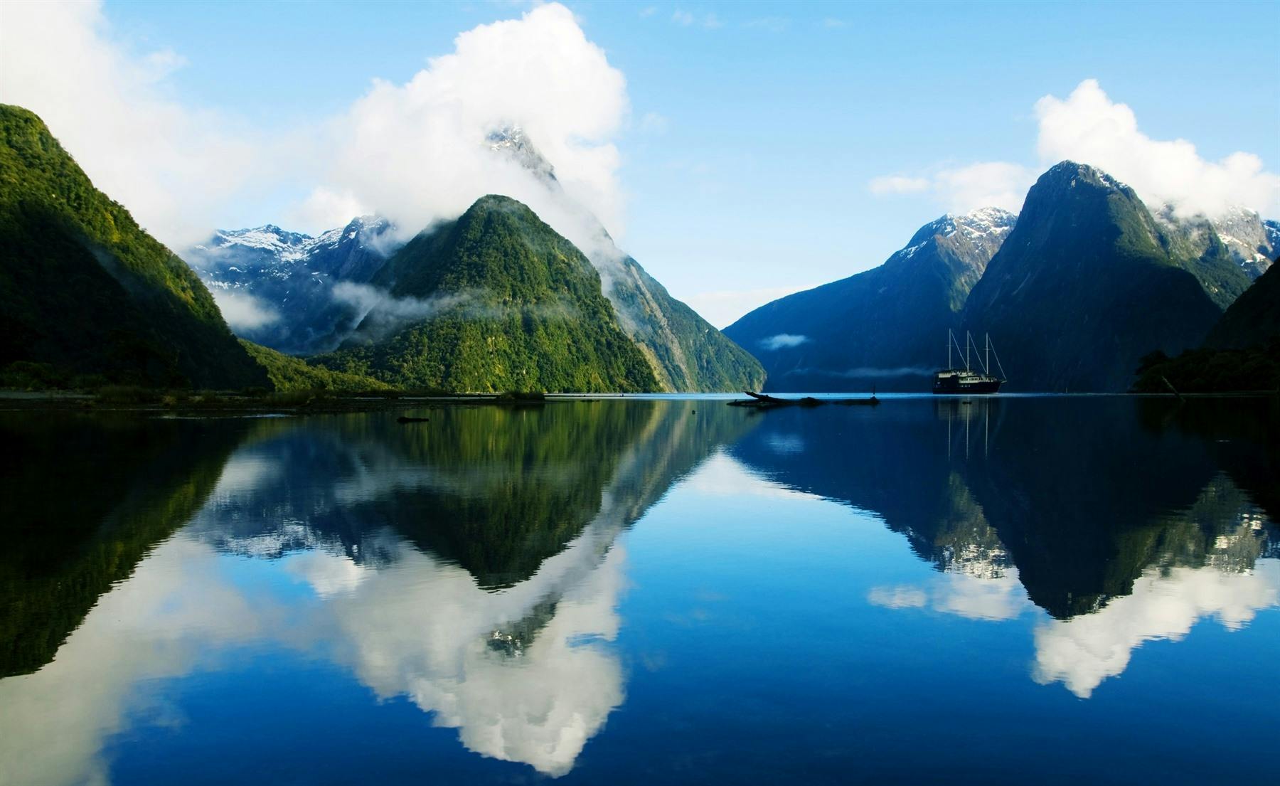 Milford Sound Cruise 
