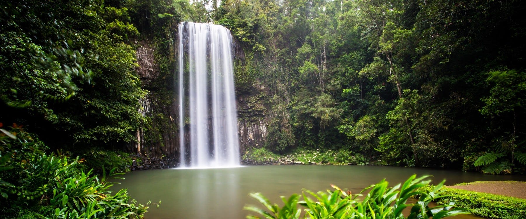 Mission Beach to Port Douglas (126 miles or 164 miles via Atherton Tablelands)