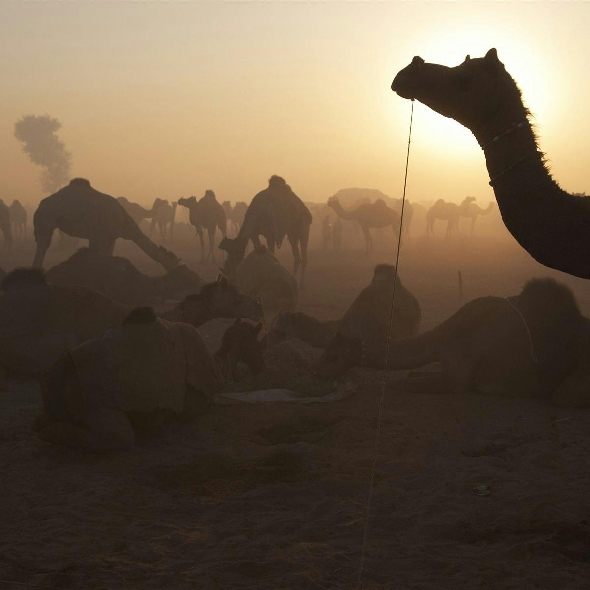 Pench - Nagpur -Doha