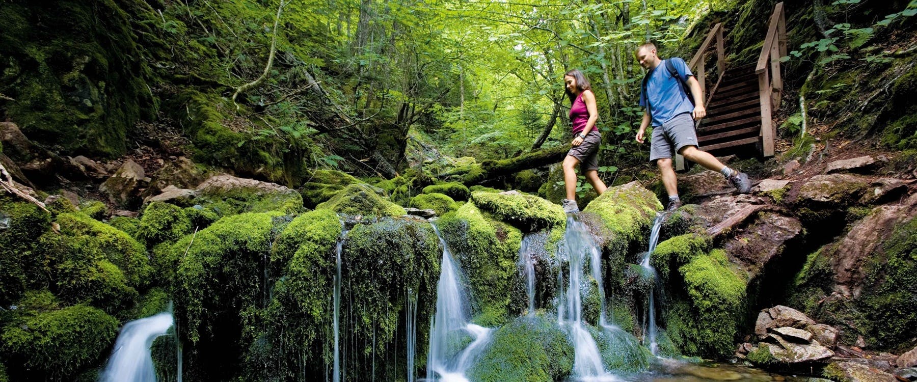 Authentic New Brunswick image 1