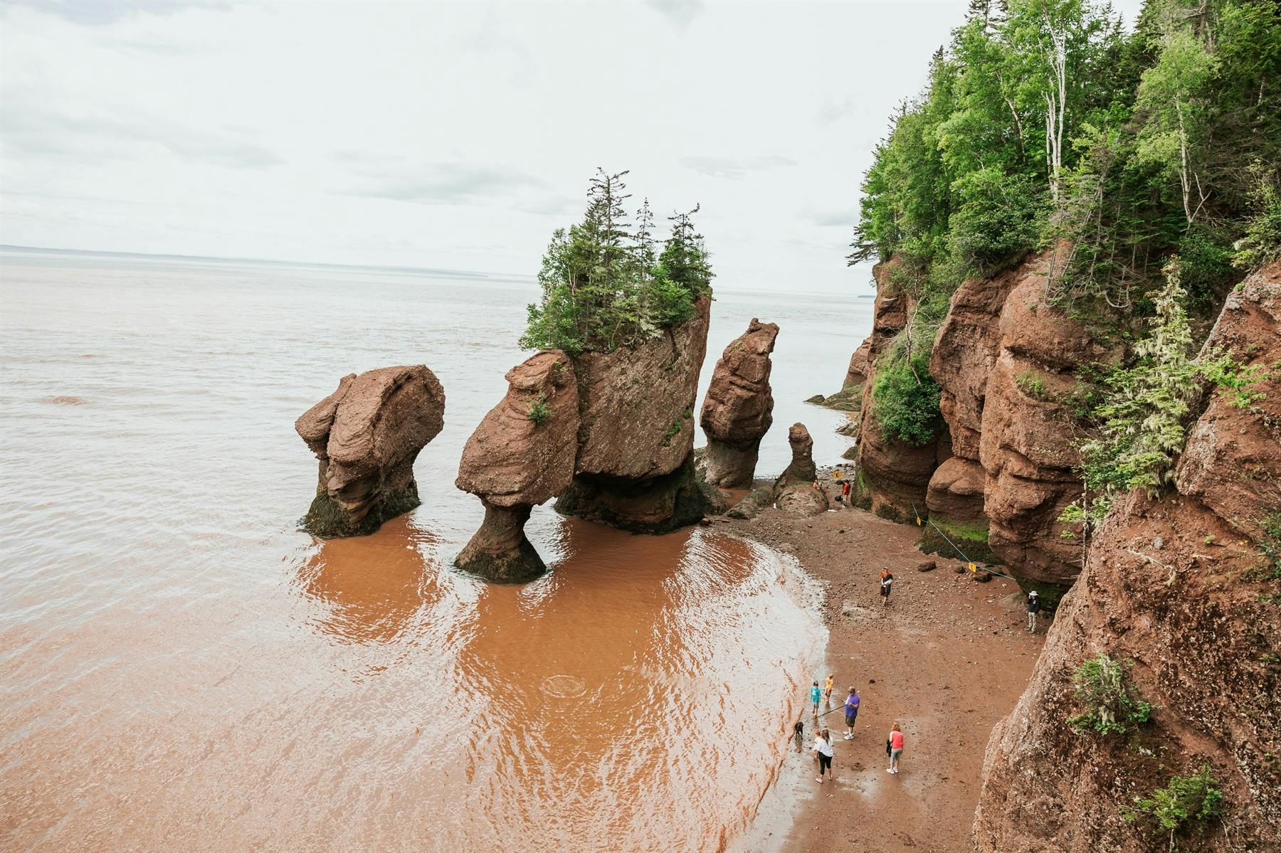 Shediac to Fundy National Park via Hopewell Rocks (65 miles)