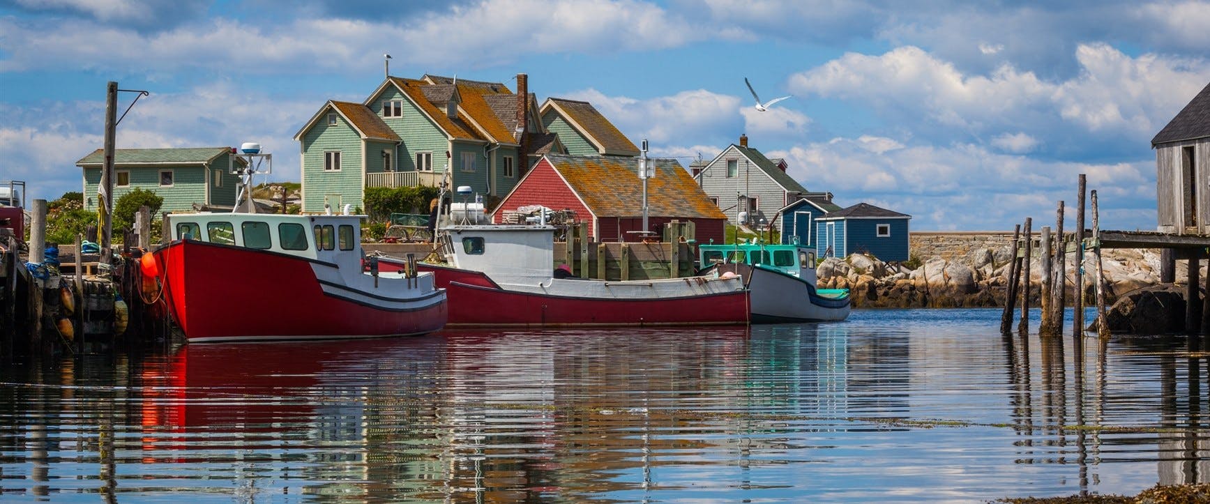 Halifax and Peggy’s Cove Tour