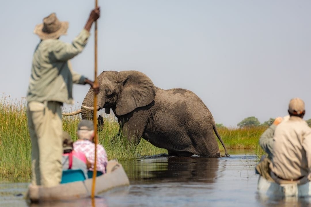 | Okavango Delta