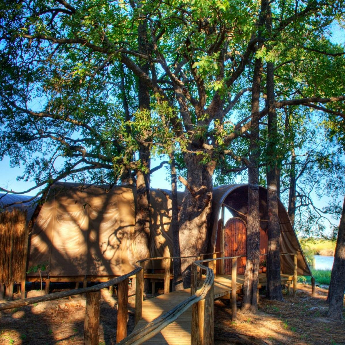 Maun – Johannesburg - London